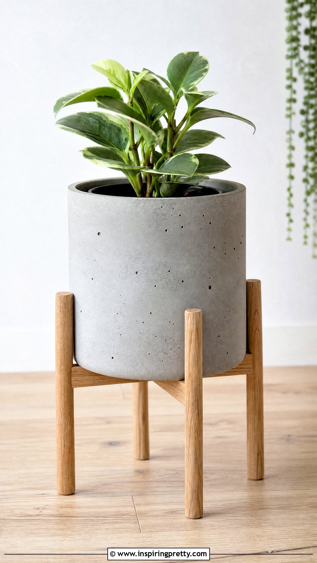 DIY Concrete Planter - 50 top diy ideas